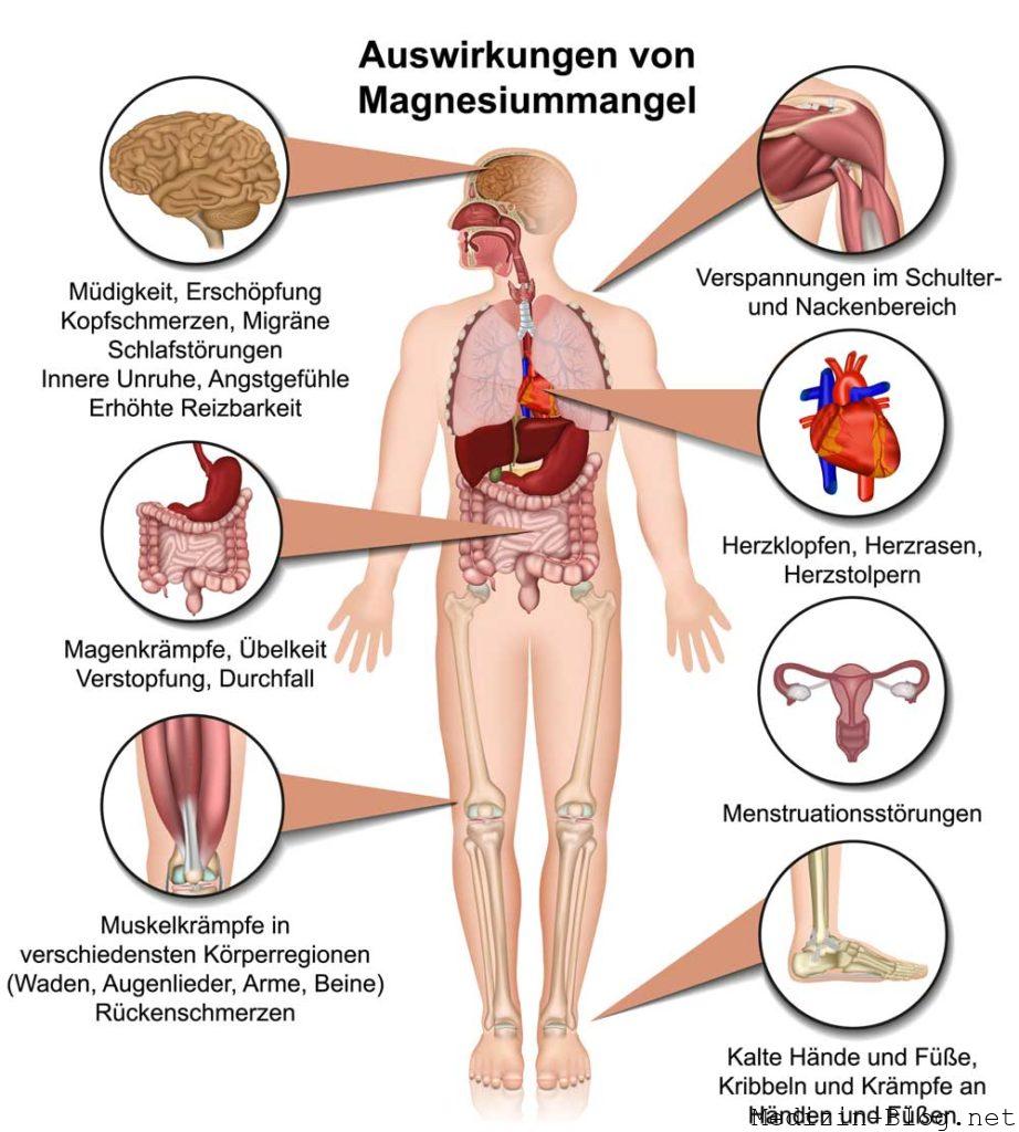 Auswirkungen Magnesiummangel