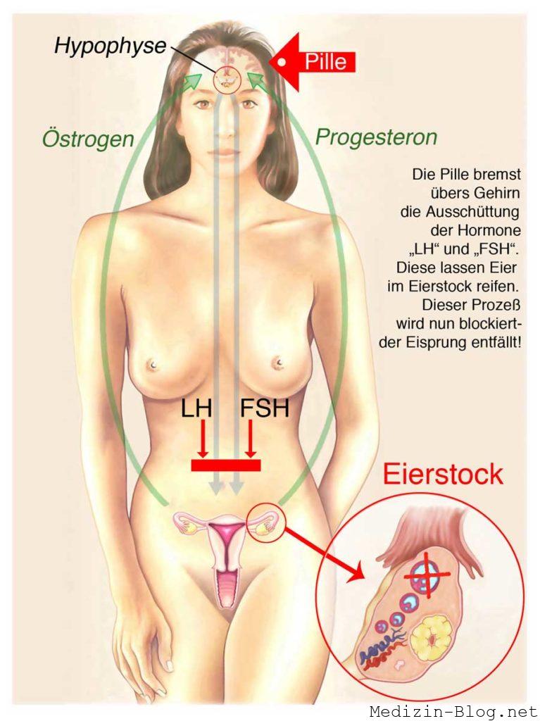 wirkung pille