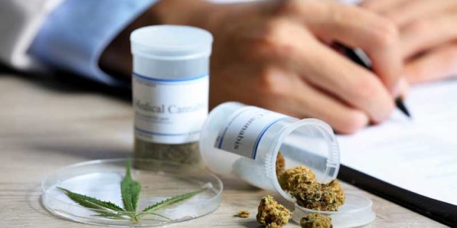 cannabis-als-medizin
