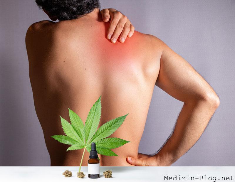 cannabis