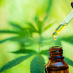 cbd-tropfen