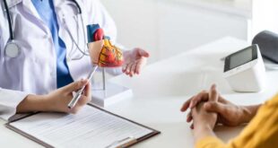 herz-kreislauf-erkrankungen