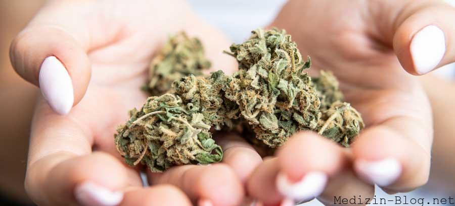 CBD-Blueten