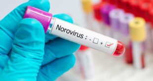 norovirus-welle
