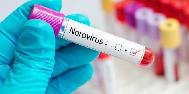 norovirus-welle