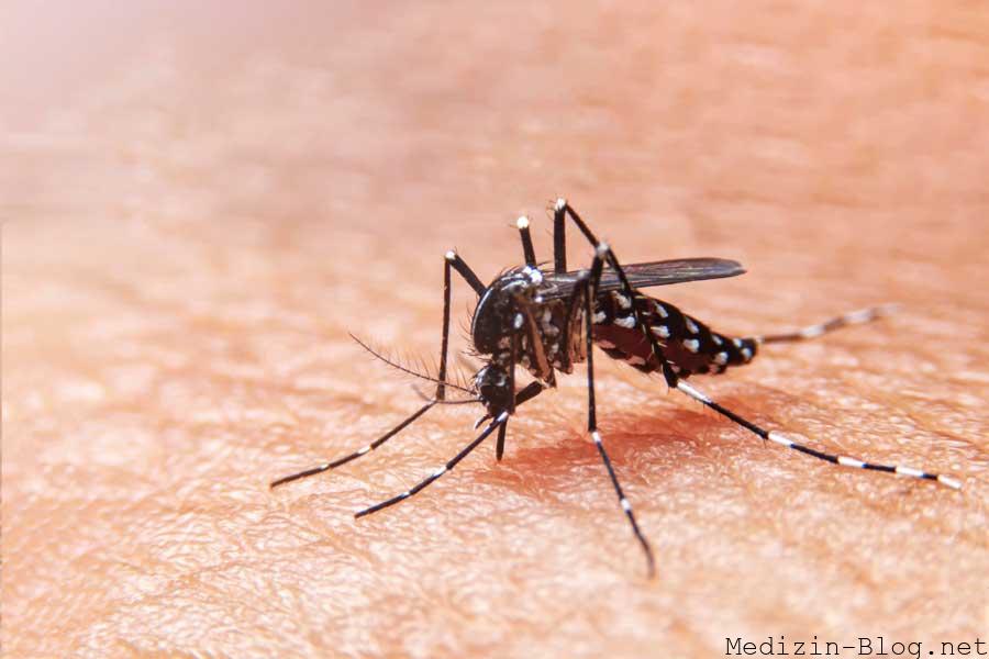 Dengue-Fieber