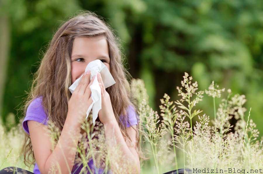 Allergie Kalender