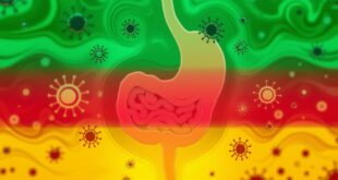 Magen Darm Virus Inkubationszeit