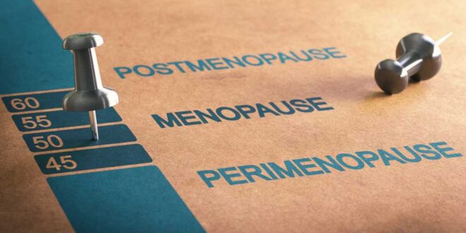 Phasen der Wechseljahre