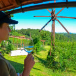 Wein-aus-der-Steiermark