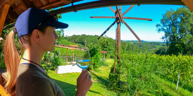 Wein-aus-der-Steiermark
