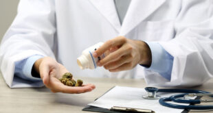 cannabis-gegen-stress